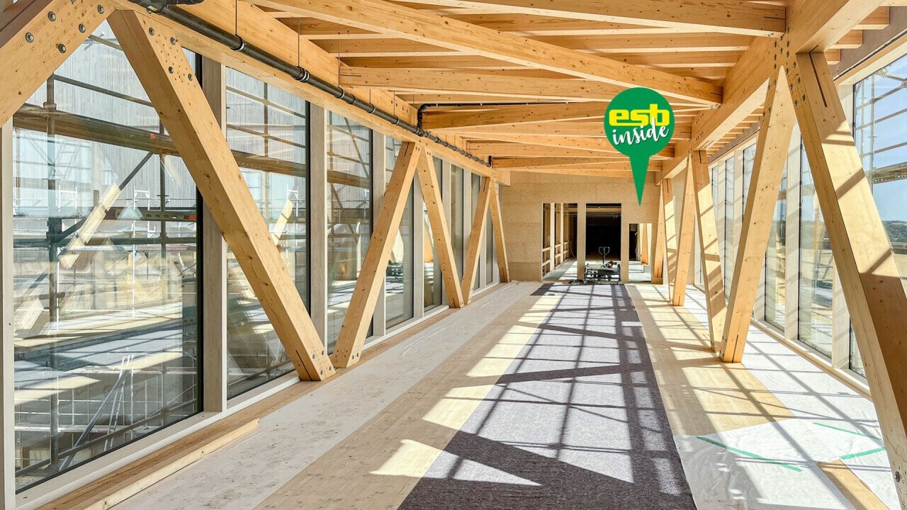 ESB plate as a planking of the partition connection bridge and high-bay warehouse. (Photo: Holzbau Amann)