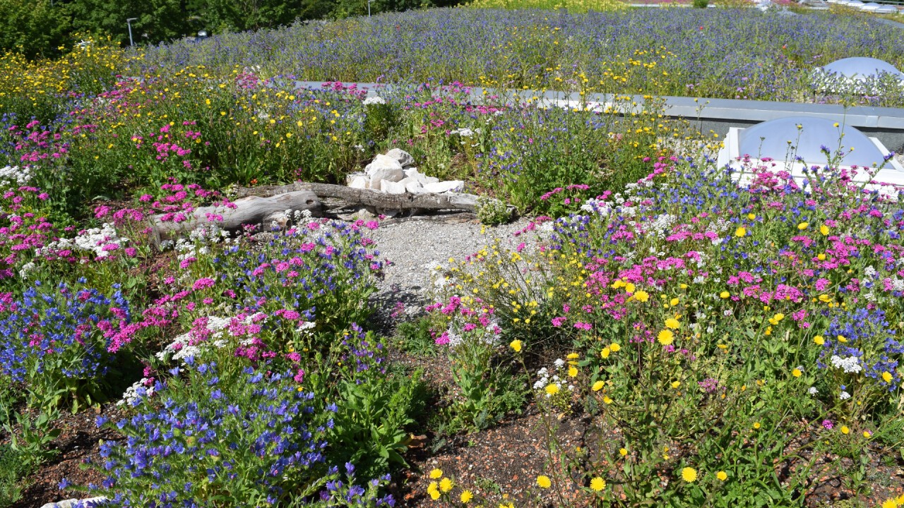 Biodiversitätsgründach, BuGG e.V