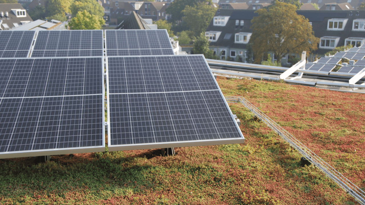 Beispiel eines Solar Sedumdachs mit dem Sempergreen Solar Gründach System