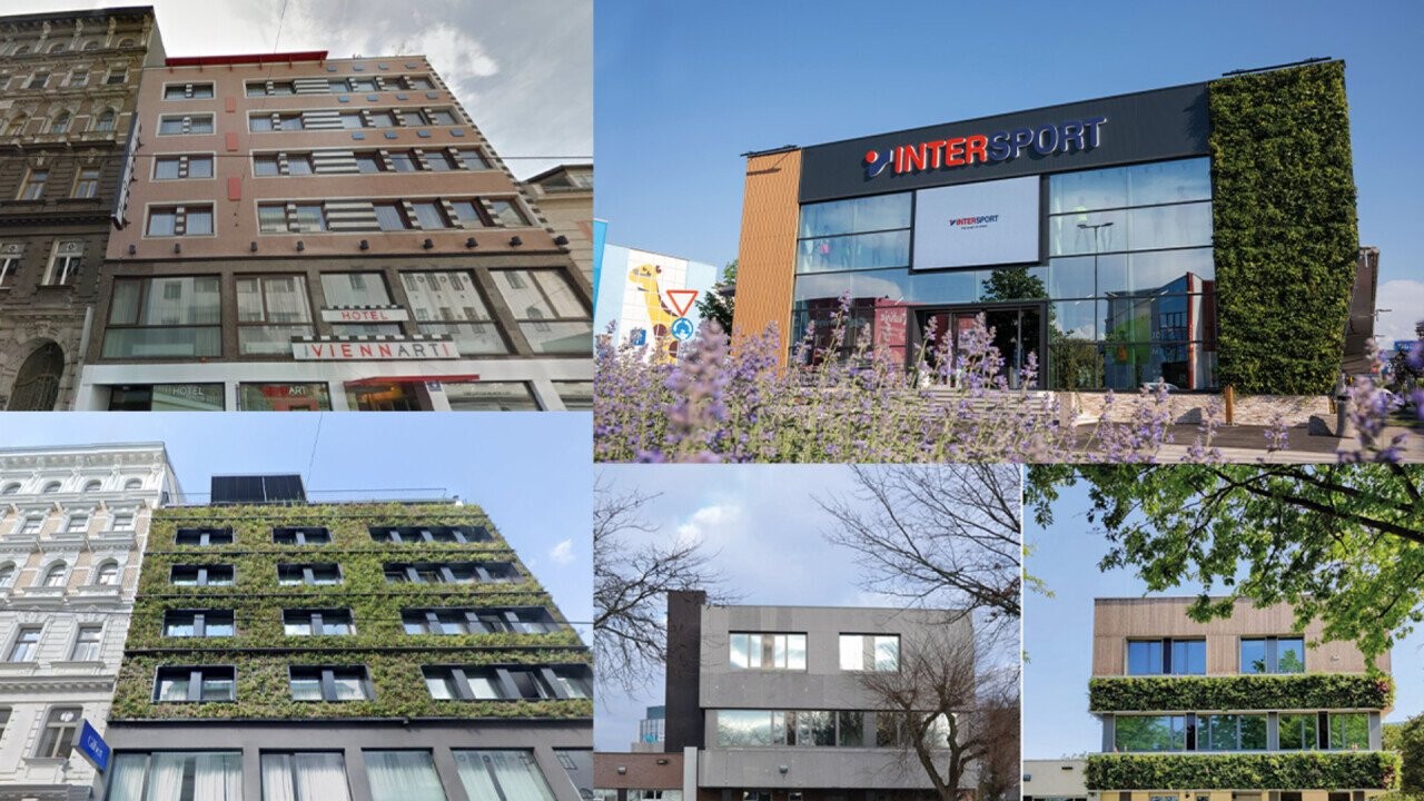 Different projects before and after renovation and installation of a green facade of Sempergreen.