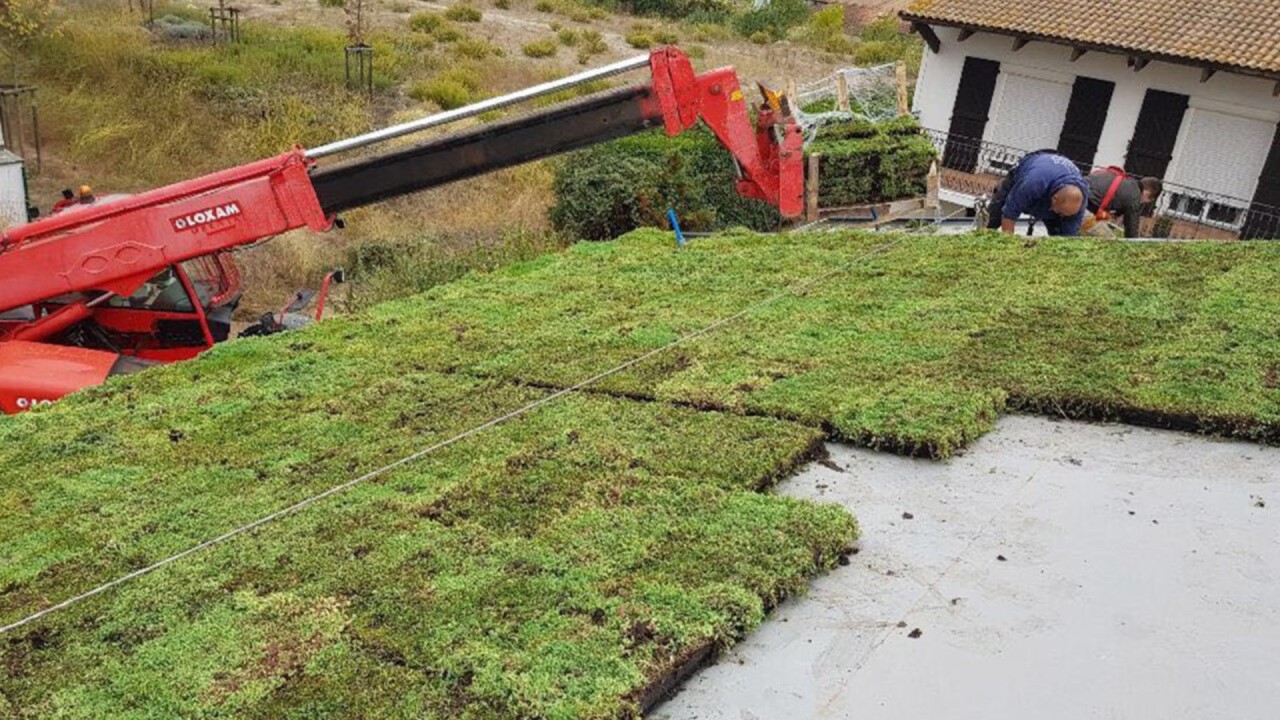 Dachbegrünung mit sofort grünen Sempergreen Sedumkassetten