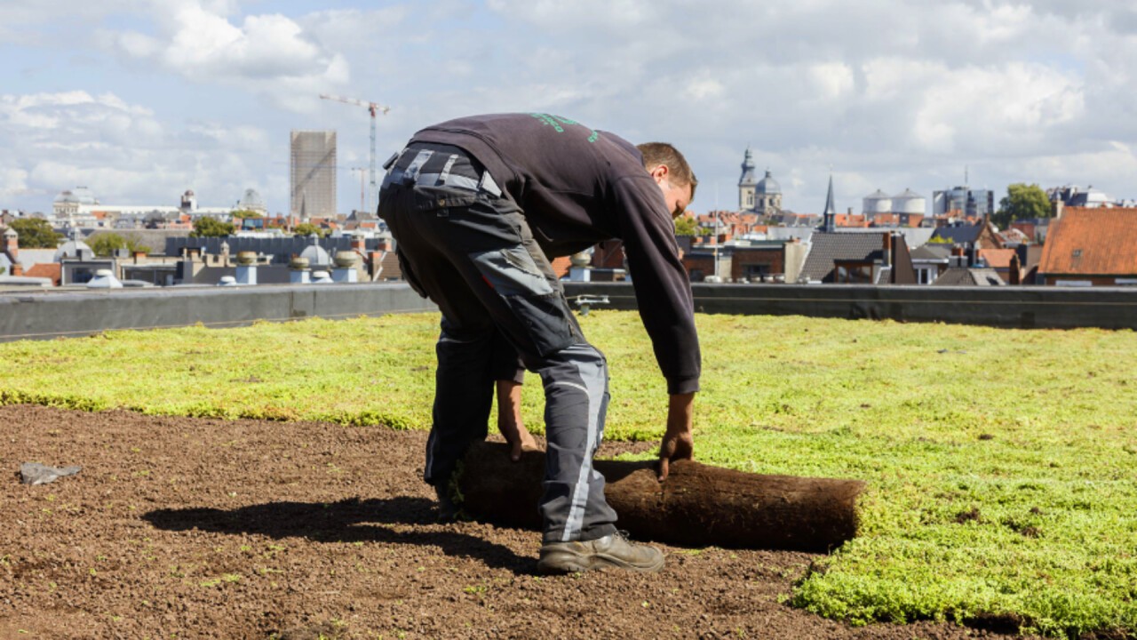 Ein Gründach schnell installiert mit den Sedummatten von Sempergreen