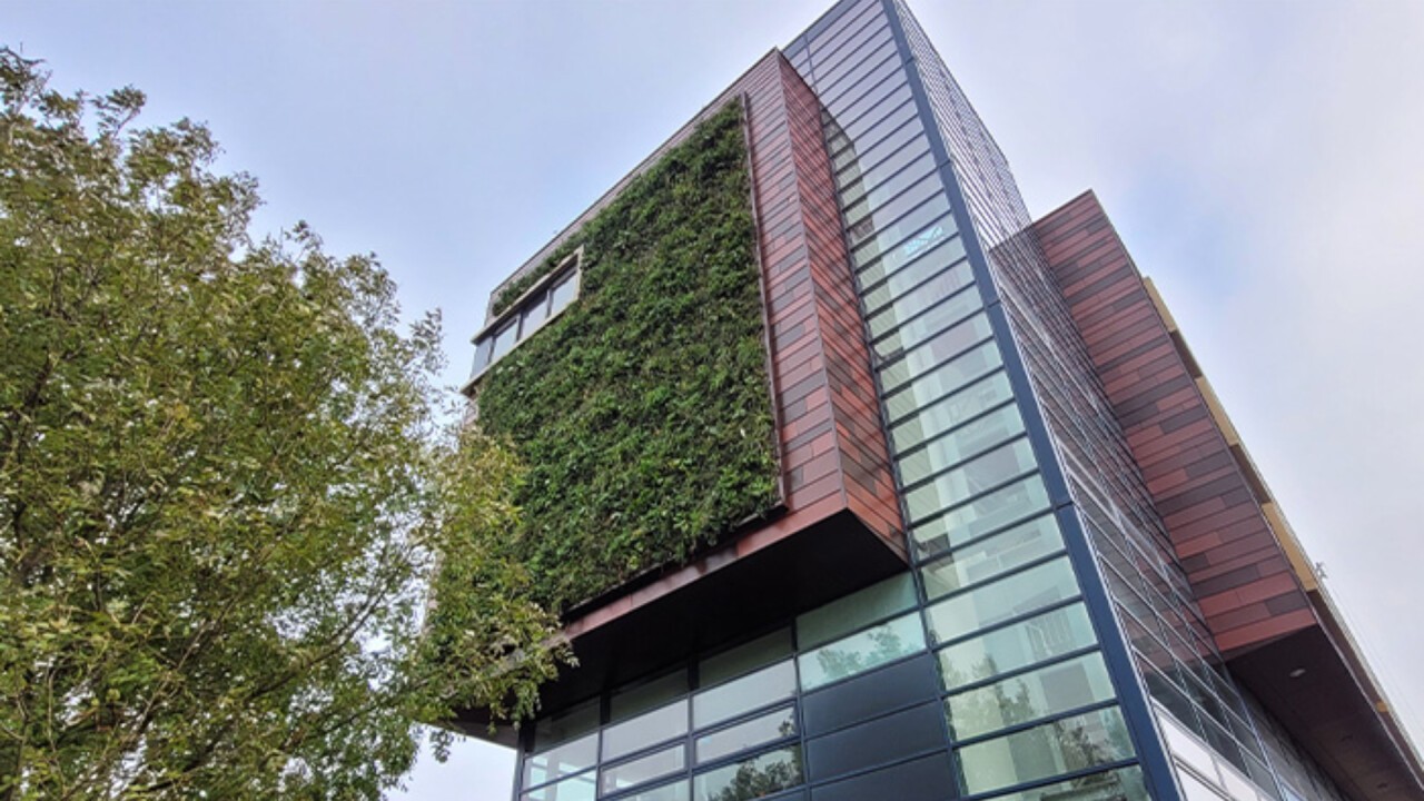 Fassadenbegrüngung mit SemperGreenwall, Mundus College Amsterdam