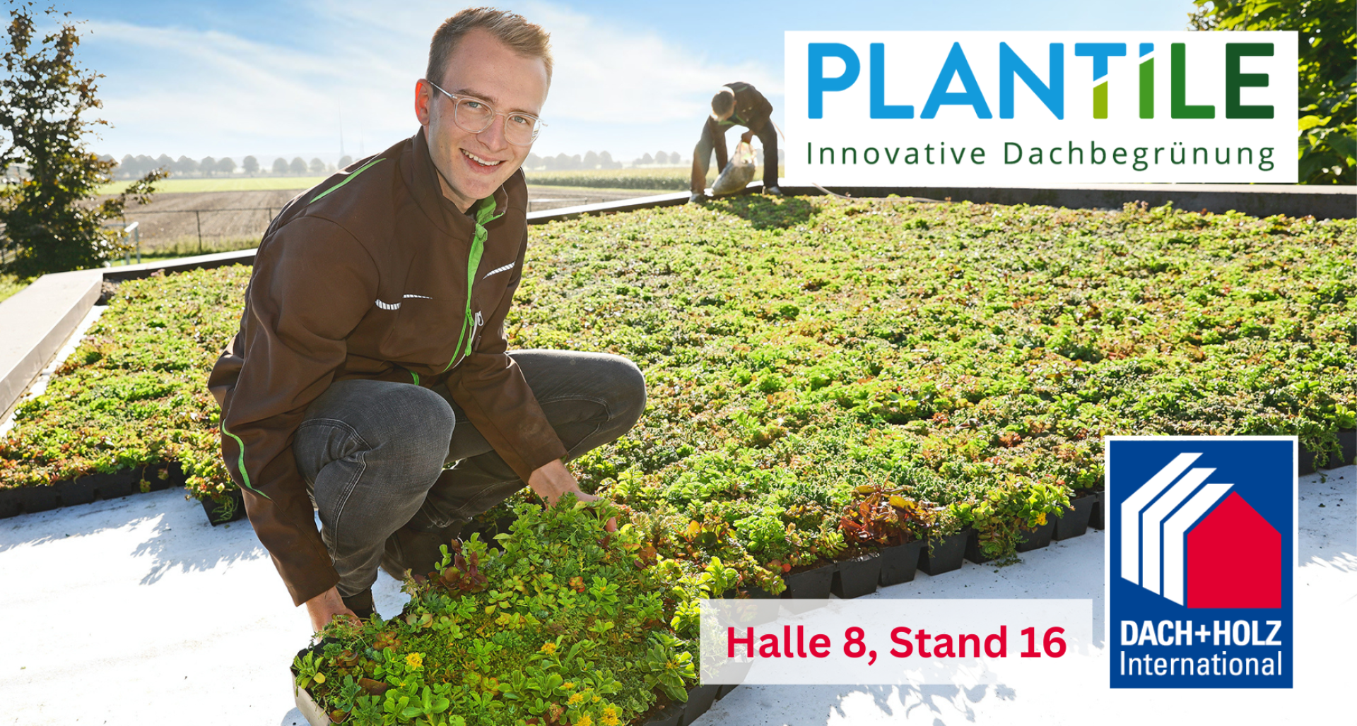 A man crouches on a green roof holding a tray of plants while another person works in the background. The picture shows the logos of PLANTILE Innovative Dachbegrünung and DACH + HOLZ International Hall 8, Stand 16.