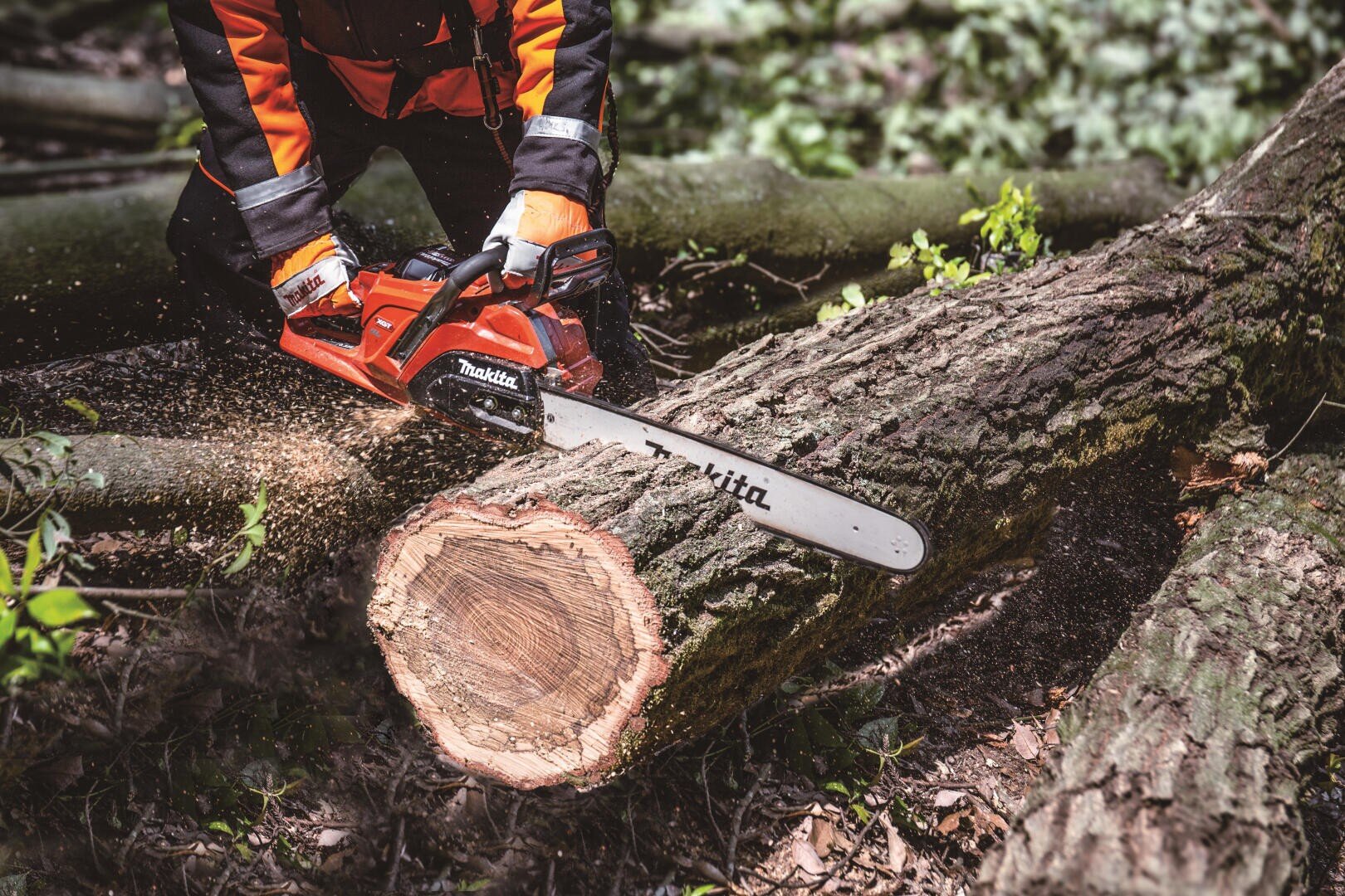 Eine Person in Schutzkleidung schneidet mit einer Makita-Kettensäge im Freien einen dicken Baumstamm durch, während im Hintergrund Holzspäne vom Schnitt und herabgefallene Äste zu sehen sind.