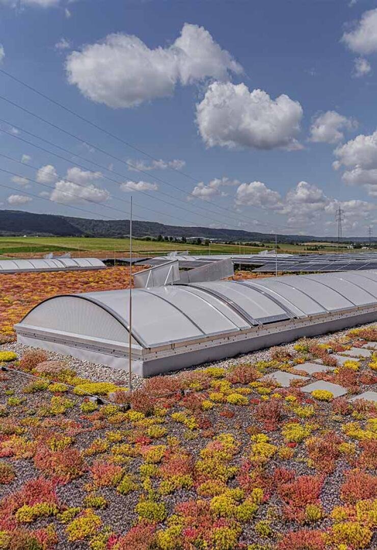 Ein begrüntes Dach mit bunten, niedrig wachsenden Pflanzen und Oberlichtern unter einem blauen Himmel mit vereinzelten Wolken; im Hintergrund sind ferne Felder und Hügel zu sehen.