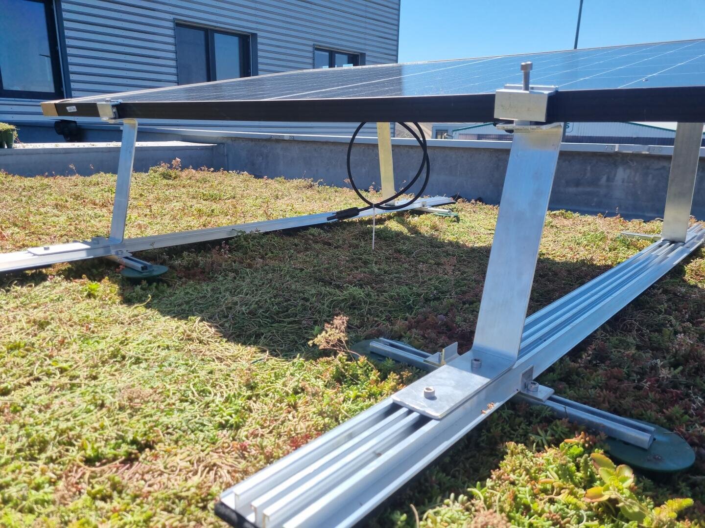 Close-up of a solar panel mounted on a metal frame, installed on a green roof with vegetation. A building with horizontal siding and windows is visible in the background under a clear blue sky.