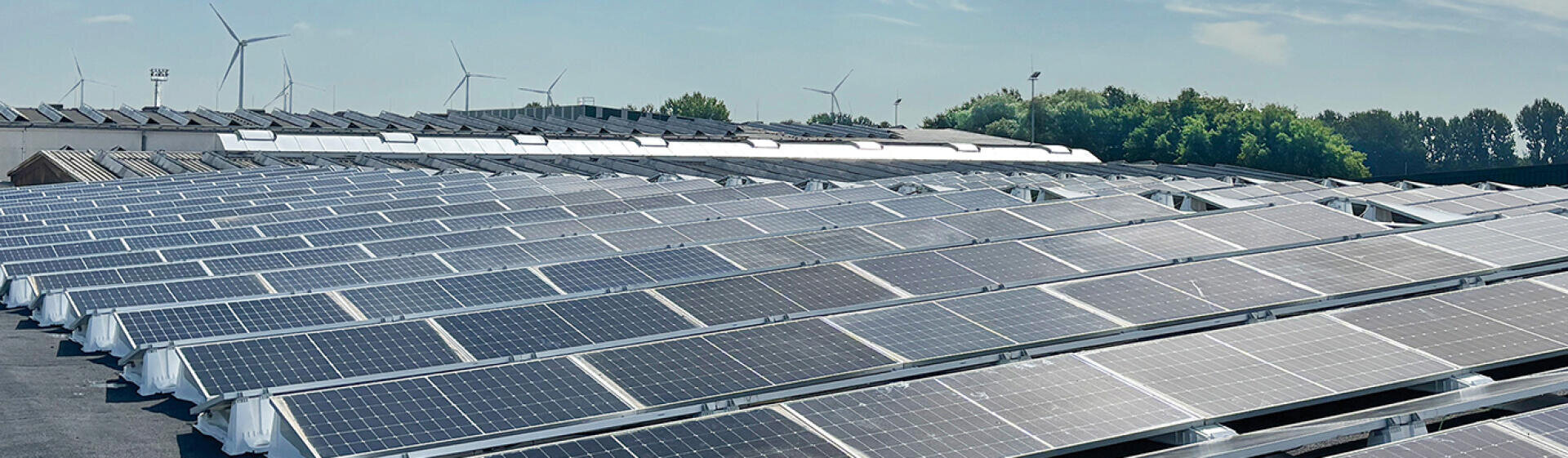 Reihen von Solarmodulen auf einem Flachdach bei klarem Himmel, im Hintergrund sind Windturbinen und Bäume zu sehen.
