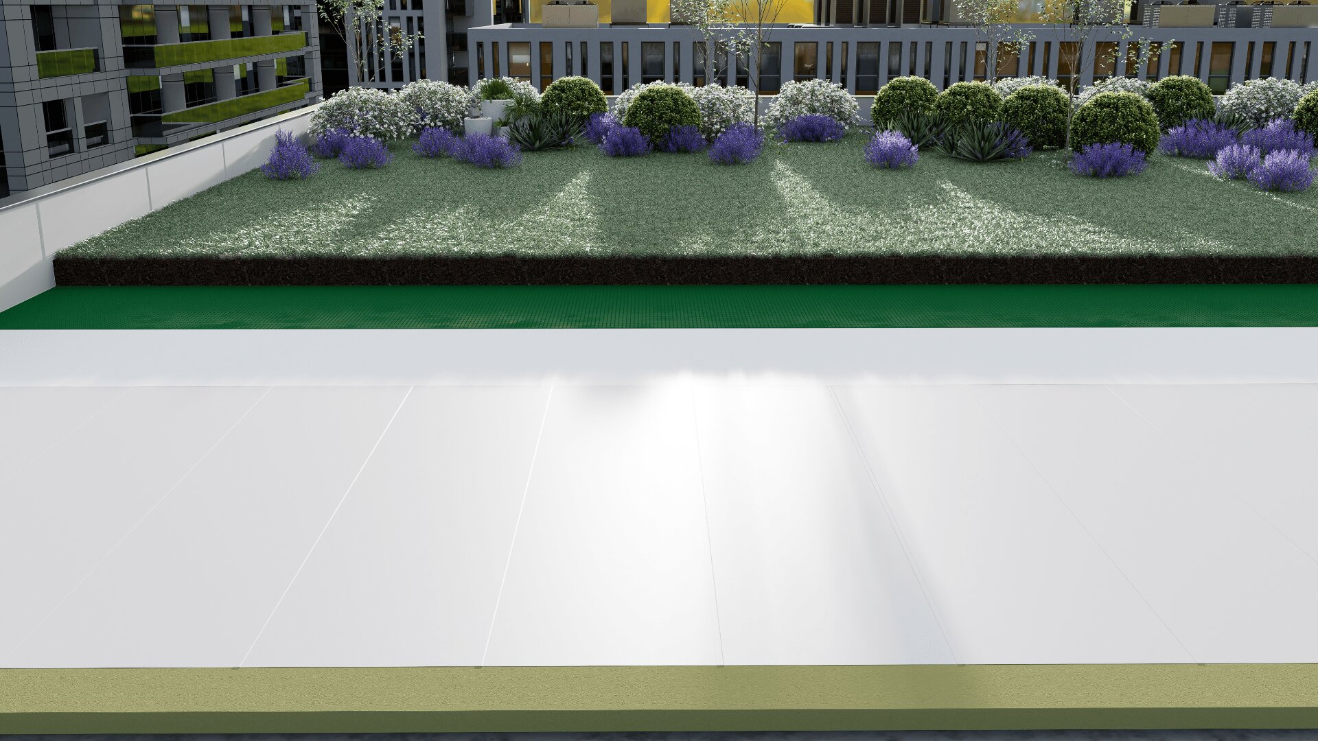 Ein moderner Dachgarten mit grünem Gras, violetten Blumen und ordentlich gestutzten Büschen, umgeben von Gebäuden; im Vordergrund ist eine weiße, flache Dachfläche zu sehen.