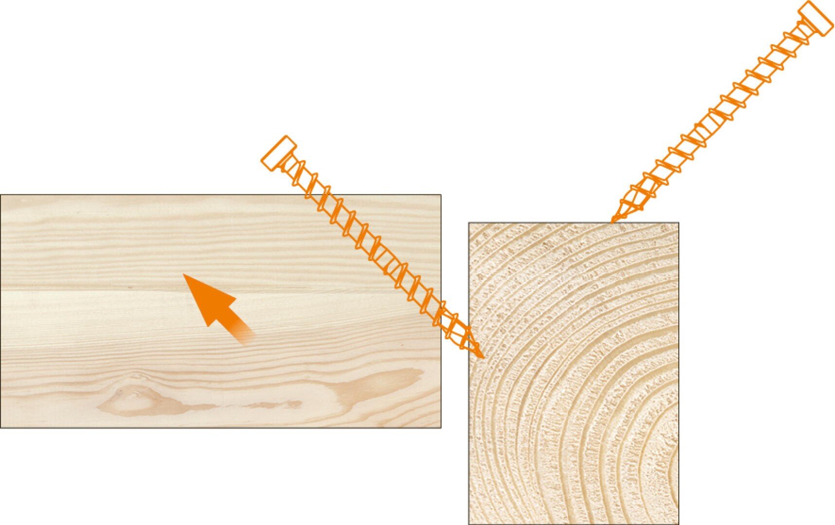 Ein Diagramm zeigt die Seiten- und Hirnholzmaserung eines Holzbretts. Ein orangefarbener Pfeil zeigt auf die seitliche Maserung, während eine orangefarbene leiterartige Linie auf die Hirnholzmaserung verweist und so die Richtung der Holzmaserung veranschaulicht.