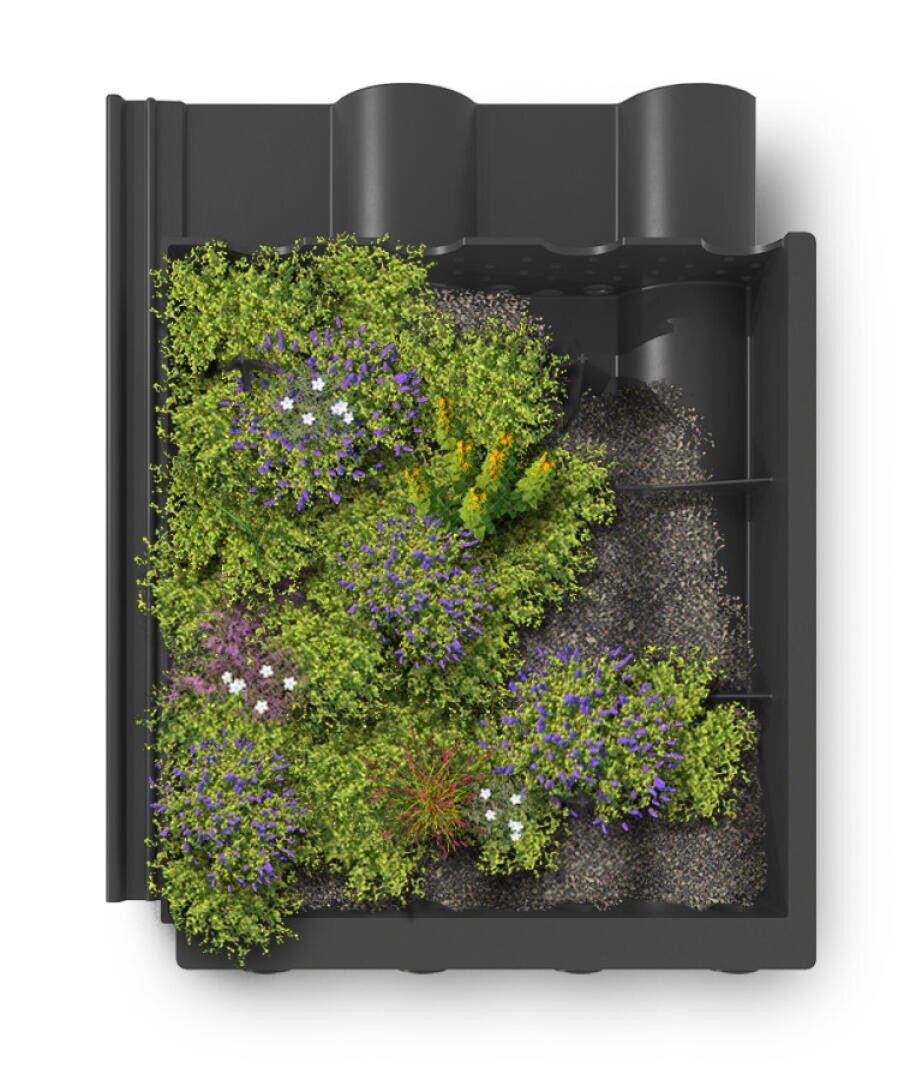 A black, segmented planter box viewed from above, containing clusters of green foliage and small flowers in purple, white, and yellow, with patches of gravelly soil visible between the plants.