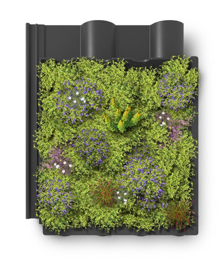 A black modular roof tile featuring a built-in green roof system, densely planted with various green, purple, and yellow flowering plants, viewed from above on a white background.