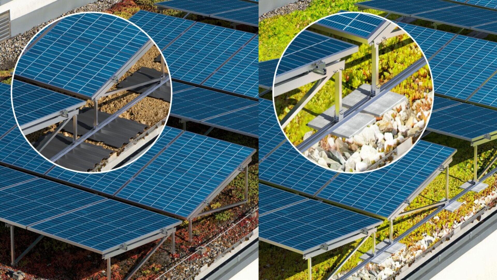 A split image compares solar panels installed on a traditional gravel roof (left) versus on a green roof with vegetation and flowers (right), each shown in close-up circular insets.