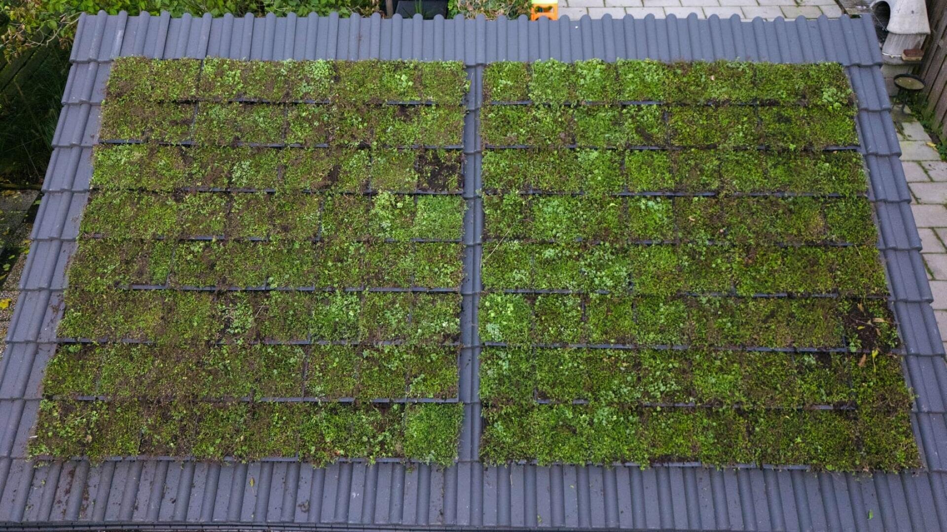 Aerial view of a gray tiled roof with two large rectangular sections covered in green vegetation, forming a living green roof amid the regular tiles.