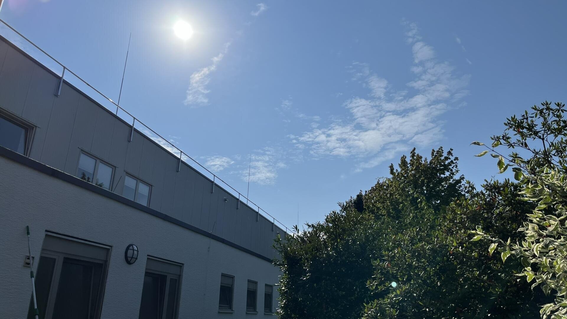 A bright sun shines in a clear blue sky above a modern white building, with trees and leafy greenery framing the foreground. Wispy clouds are scattered across the sky.