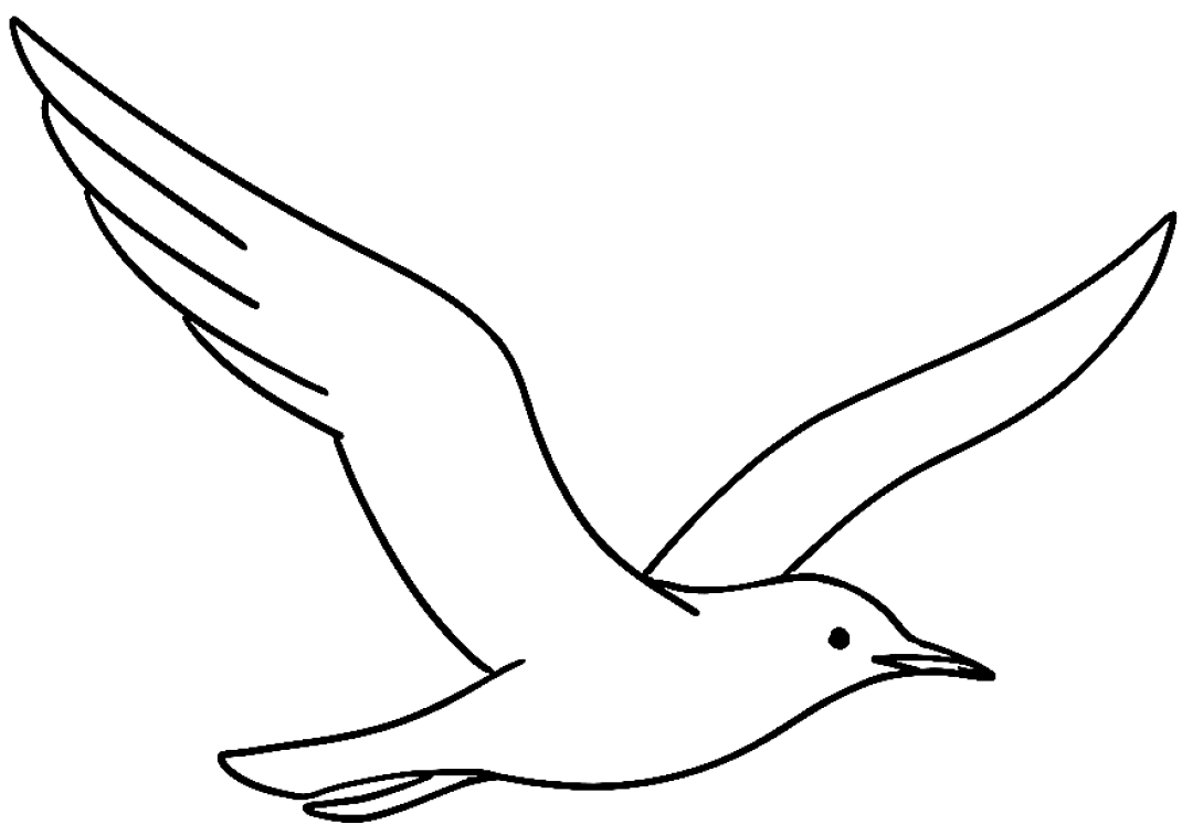 Schwarz-weiße Strichzeichnung eines Vogels im Flug, mit weit ausgebreiteten Flügeln und nach vorne gerichtetem Schnabel.